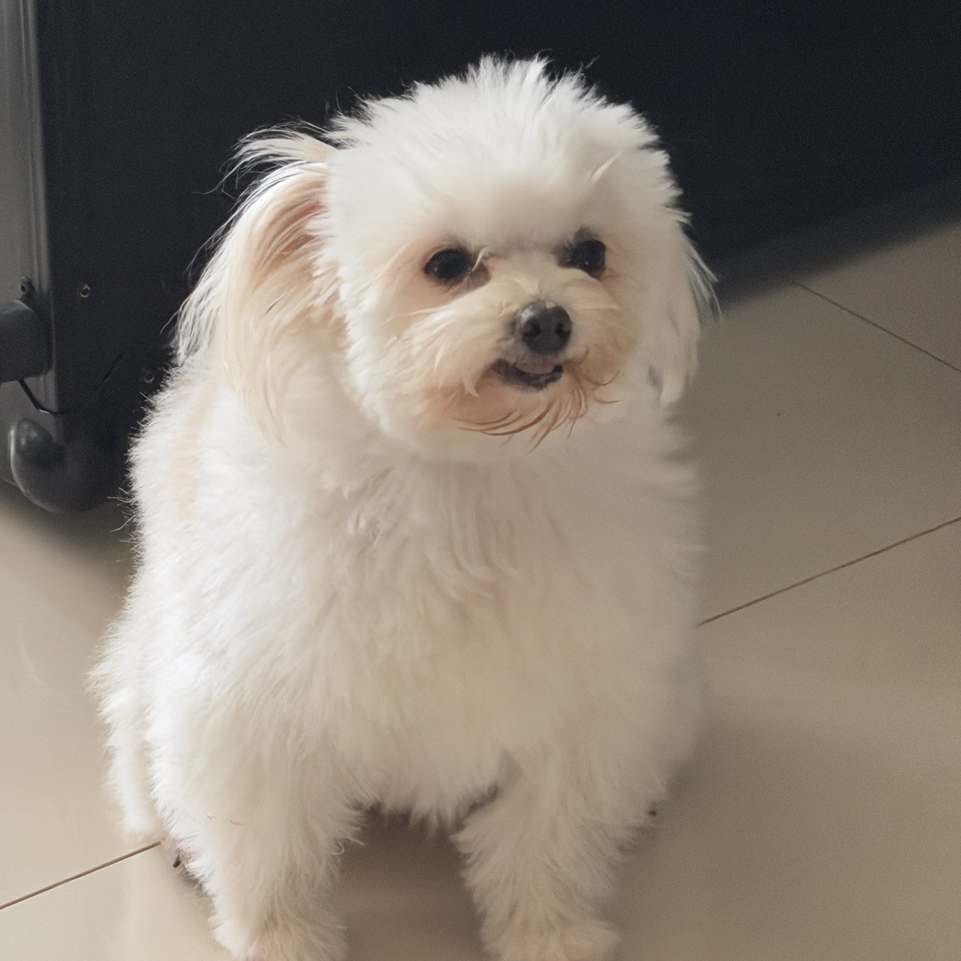 Capa de House - Hyperarousal